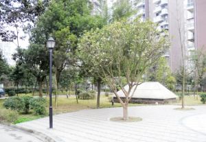 上锦颐园佳境3室2厅东南