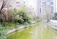 上锦颐园佳境2室1厅东南