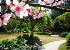 上锦颐园佳境 3室2厅 东北