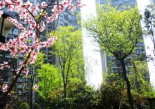 上锦颐园佳境 3室2厅 东北