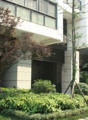 天府滨河湾 3室1厅 东