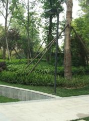 天府滨河湾3室1厅西北