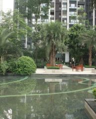 天府滨河湾3室1厅东南