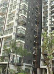 天府滨河湾 6室2厅 西北