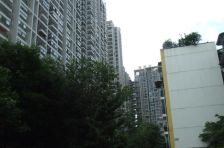 博雅馨地 3室2厅 西南