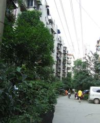 育苗路8号2室1厅东北