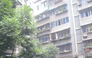江东民居二区2室2厅南北