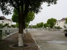 ??独栋别墅+临港新片区+三灶港步行街+前花园后小院