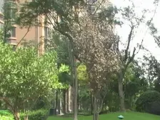 刚需三房.16号线.S3.S2.古镇旁