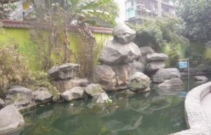 金港湾花园一期2室1厅西南