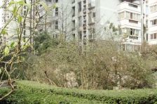 绿杨新邨2室2厅东南