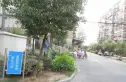 龙福花园实景图