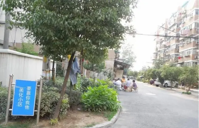 龙福花园实景图