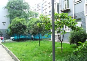 懋园西沿风景3室1厅西北