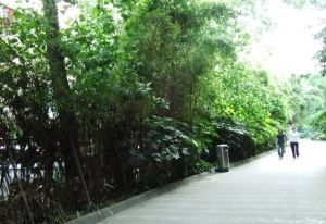 懋园西沿风景2室2厅东南西北