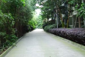 懋园西沿风景 3室2厅 西北