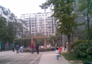 懋园西沿风景3室2厅西南