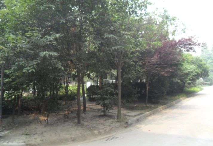 小区相关图