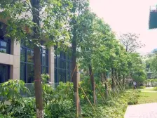 塘厦中 心小 学旁,精装2房,视野景观好