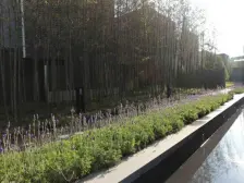 万科品质 民雷路在旁 房东诚心出 欢迎看房