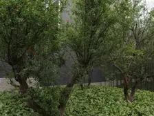 ???满五年,地铁口,附带花园车位,业主诚售