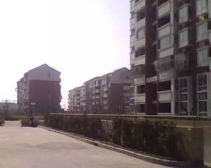 曹路·金钻苑-海松路421弄·3室·2厅