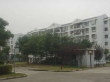 曹路·丰怡苑·1室·1厅