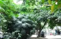莲花北路小区实景图