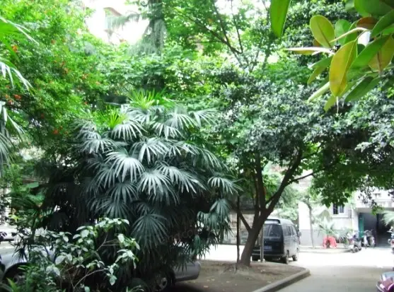 莲花北路小区实景图