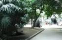 莲花北路小区实景图
