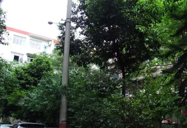 莲花北路小区实景图
