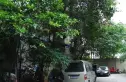 莲花北路小区实景图
