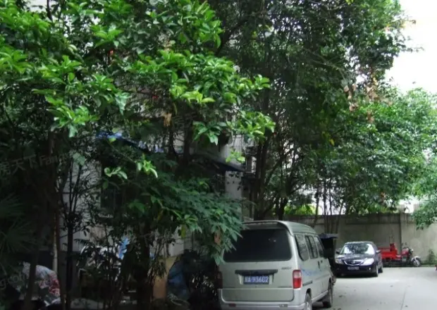 莲花北路小区实景图