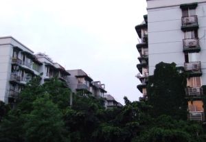 悦民苑2室2厅南