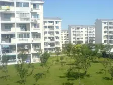 川沙·新德佳苑·1室·1厅