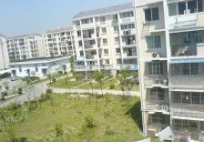 近2号线,中间楼层三房,采光很好,诚心出售