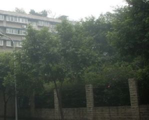临江路16号2室0厅南