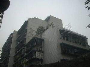 临江路16号1室1厅南