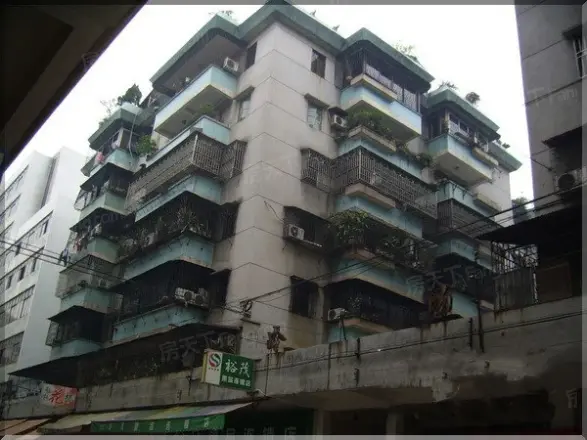 华侨新村实景图