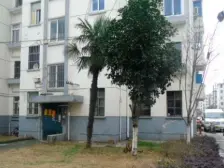 宝邻苑 多层小洋房 满五唯一 小户型