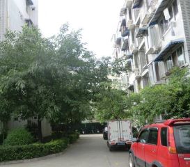 龙泉驿龙栖苑 3室2厅 东南