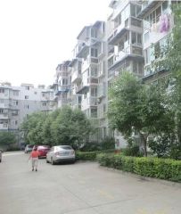 龙泉驿龙栖苑3室2厅东南南