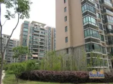 房子在一楼,带一个朝南小花园,南面一排,私密性好