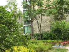 房子在一楼,带一个朝南小花园,南面一排,私密性好