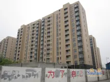 天安豪园 1室1厅 东南