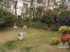 央座独栋 300万装修 边套南北大花园 3个车位 价格能谈