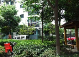 兴顺苑 3室2厅 东南