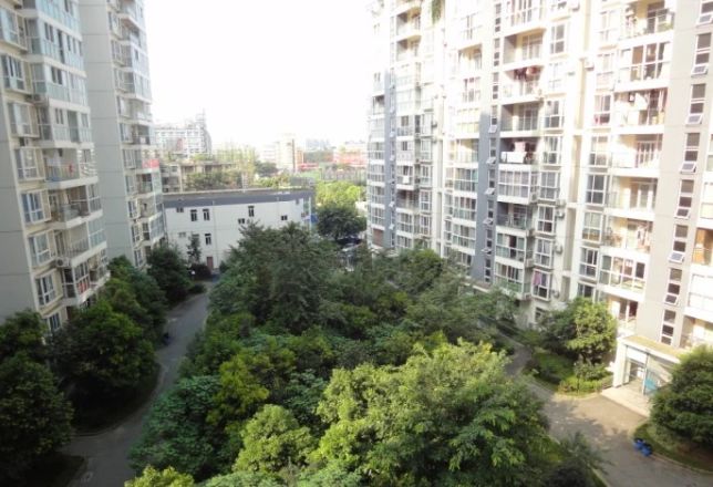 金龙美景实景图