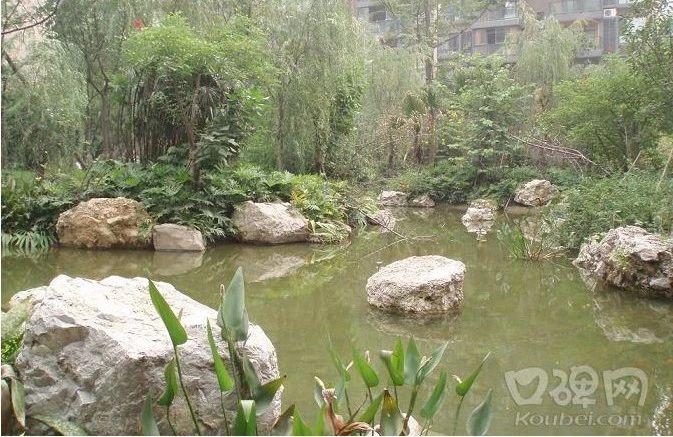 金龙美景实景图