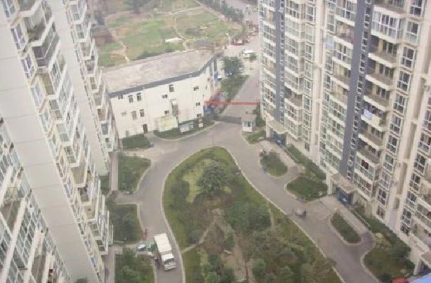 金龙美景实景图